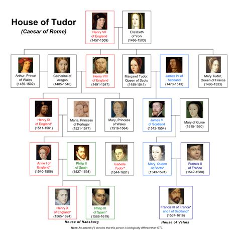 tudor house and garden southampton|tudor family tree.